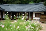 不龙塘hongsil